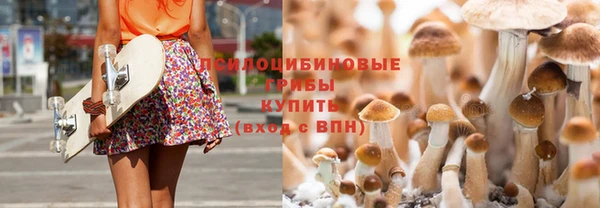 мяу мяу мука Алзамай