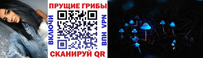 Псилоцибиновые грибы MAGIC MUSHROOMS Щигры