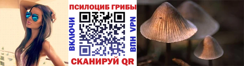 Псилоцибиновые грибы Cubensis  mega зеркало  Щигры 
